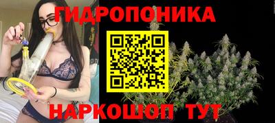 СК Балаково