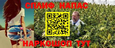 СК Балаково