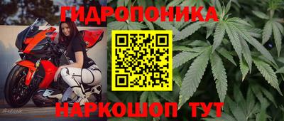 СК Балаково