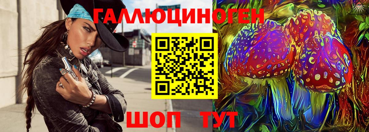 Псилоцибиновые грибы Cubensis Гусиноозёрск