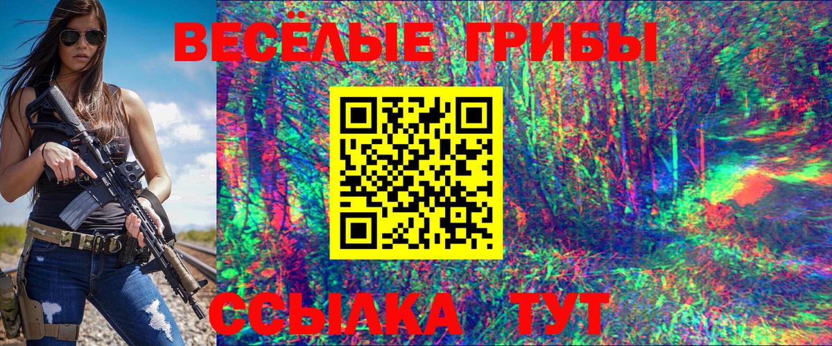 где купить наркоту  Псилоцибиновые грибы мицелий  Вход с VPN  Гусиноозёрск 